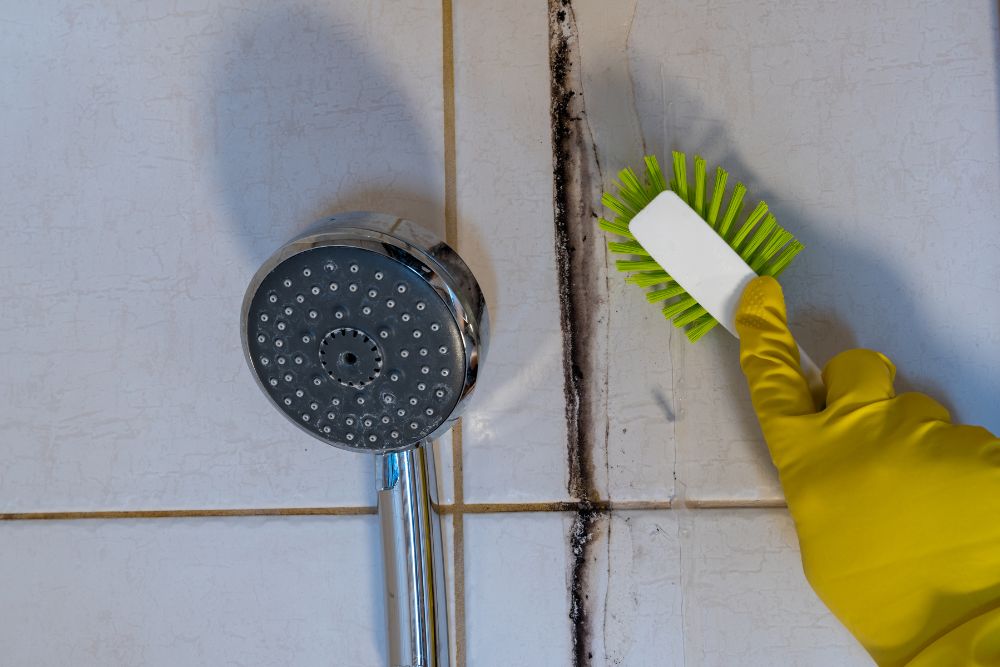 Hand scrubbing mold growing on a tiled wall, next to a showerhead