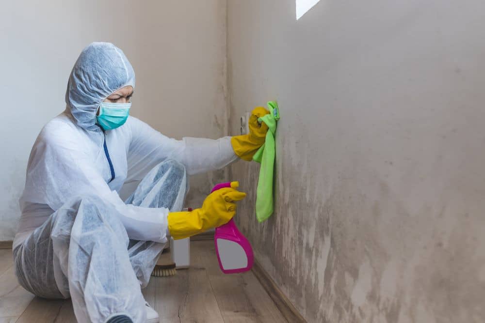 mold remediation professional scrubbing mold growth off bathroom walls.