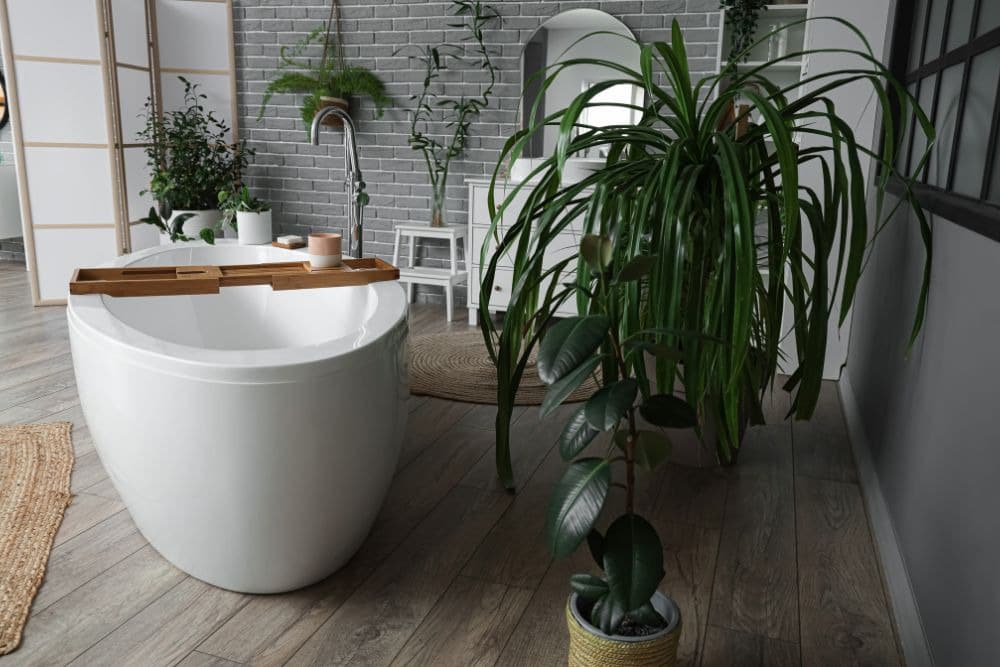 bathtub surrounded with plants